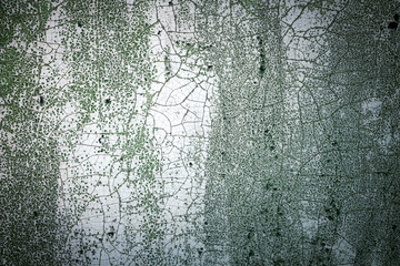 Painted white cracked wall with mold. The texture of old wall. The surface flakes off over time.