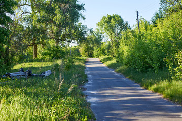 A asphalt road on the sides of which grow bushes and trees passing through the village.
