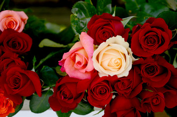 Flowers  rose red and pink color, fresh flowers in a bouquet, beautiful  flower   
