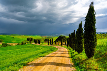 Landscape view of Val D'Orcia, Tuscany, Italy