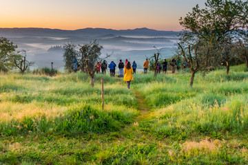 Photographers take landscape pictures early in the morning, Tuscany, Italy