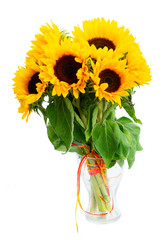 Obraz premium Sunflowers on white