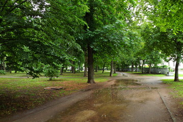path in the park