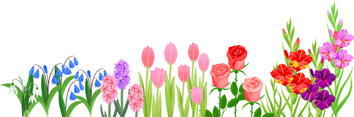 Flower border with different garden flowers isolated on white background
