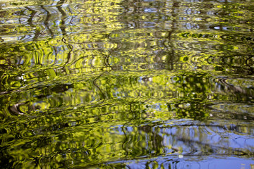 Liquid Green Spring Ripples Textures. Dreamy beautiful green and brown ripples on the water on a sunny spring day. Perfect texture or background.