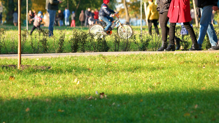 Low section people walking through park. People walk along an asphalt road in spring park.