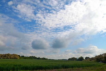 landscape with clouds and blue sky