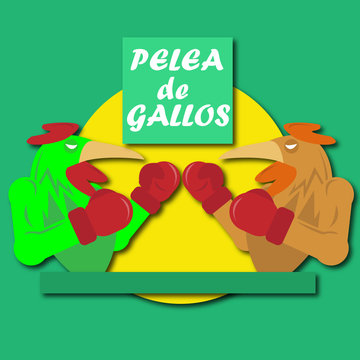 Pelea De Gallos