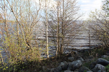 Fototapeta premium lake and rocky shore