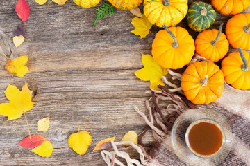 Fall leaves autumn background