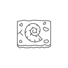 history, shell, paleontology, archaeology outline icon