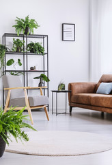Leather sofa opposite grey patterned vintage armchair in modern white interior with plants on metal shelf