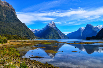 Milford Sound