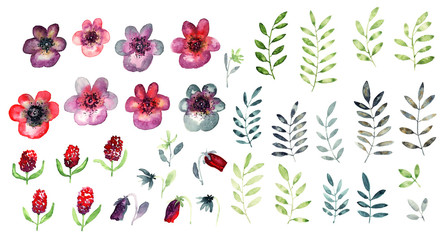 watercolor pansy set