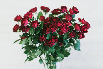 Bouquet of large red roses close up