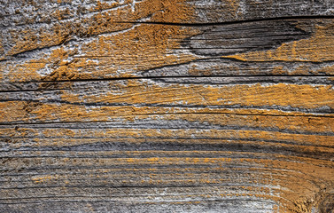 Old Weathered Cracked Wood Texture