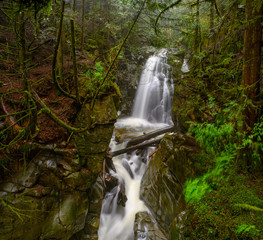 Cypress Creek running through a rough terrain in a dark rainforest with Douglas fir and western red cedar trees covered in moss creating impressive canyons and waterfalls