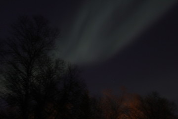 Naklejka premium AURORA BOREALE A TROMSO