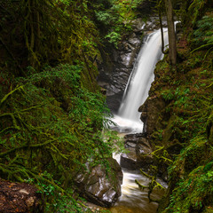 Cypress Creek running through a rough terrain in a dark rainforest with Douglas fir and western red cedar trees covered in moss creating impressive canyons and waterfalls