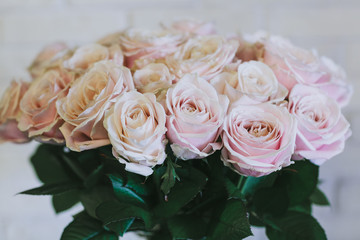 A bouquet of large pink roses close up