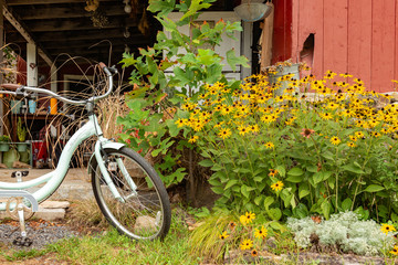 Fototapeta na wymiar Bike at Farm