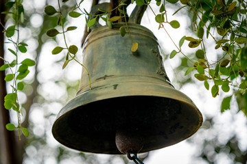 Bell