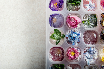 Tray with Frozen Flowers in Ice Cubes on grey Background, top view, copy space for text