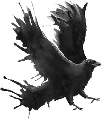 Handdrawn Aquarell flying Crow, Watercolor, Animal, Nature