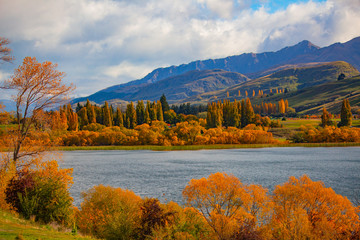 autumn lake with trees