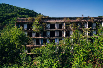 Fototapeta na wymiar Ruined overgrown apartment house in ghost mining town, consequences of war in Abkhazia, green post-apocalyptic concept