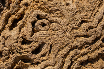 The texture of marine sedimentary rock, used in finishing works in construction. Wall. Stone. Bricks. Volcanic tuff. 