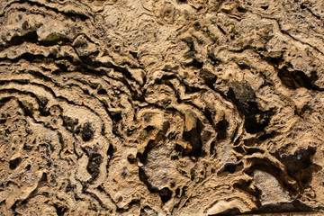 The texture of marine sedimentary rock, used in finishing works in construction. Wall. Stone. Bricks. Volcanic tuff. 