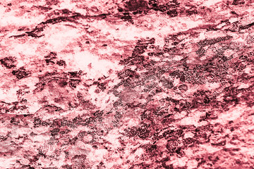 Vintage pink background. Rough painted wall of fiesta color. Imperfect plane of rosy colored. Uneven old decorative toned backdrop of rouge tint. Texture of pink hue. Ornamental stony surface.