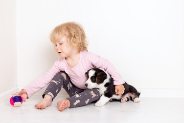 Portrait of a happy curly cute Caucasian little girl at home with a welsh corgi cardigan puppy playing on the floor in the room