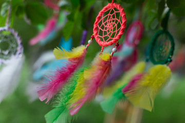 Colorful dreamcatcher on green summer tree in park. Nature, color concept