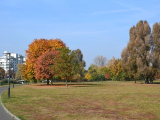 Colorful trees in the park on a sunny autumn day. Kepa Potocka, Warsaw, Poland
