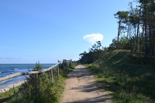 Partially shaded path next to the forest running along the Baltic sea coast. Wladyslawowo/Karwia, Poland, Europe