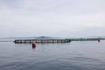 Cage for fish farming in sea