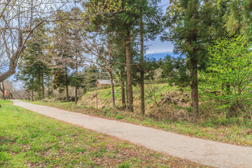 Obraz premium 春の箕輪城の風景