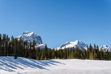 snow mountains peaks and forest landscape under sunlight early spring as background.