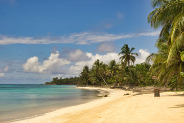 Plakat Curved beach shore with lots of vegetation and crystal clear water curved by a blue sky
