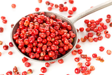 Pink or rose brazilian red peppercorns (schinus terebinthifolius) in metal spoon over white