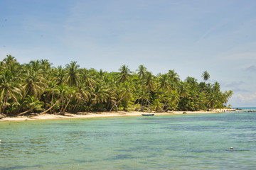 photo island landscape full of coconut palms with fishing boats, crystal clear water and a blue sky