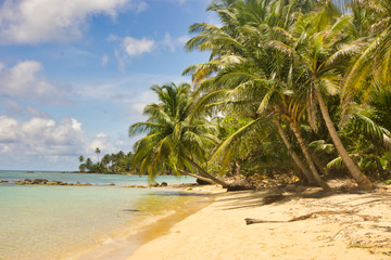 Beach full of coconut palms and a vibrant mix of colors in summer
