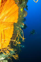 Silhouette shots of scuba divers using rebreathers to explore sponge formations deep on the walls...