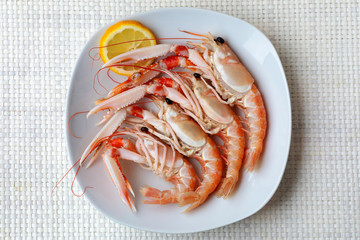 Raw scampi on the plate