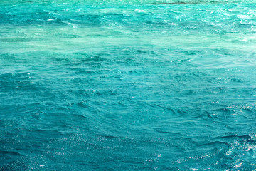 Wave ocean blue sea fresh Bermuda’s amazing underwater marine life.