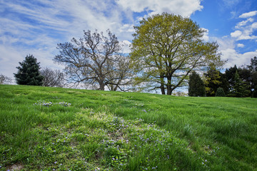 New York botanic garden