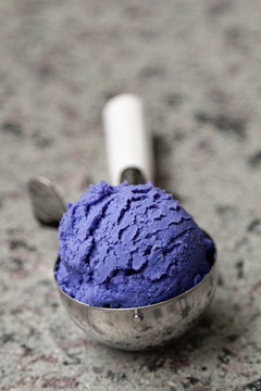 ice cream and summer, space for text