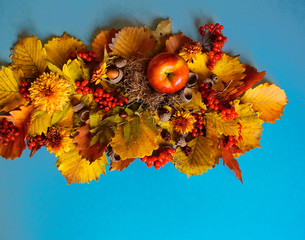 Autumn. Blue background. Autumn leaves acorn apple and flowers. October.
